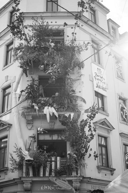 Mirabelle - Wohnen In Der Dresdner Neustadt Drážďany Exteriér fotografie
